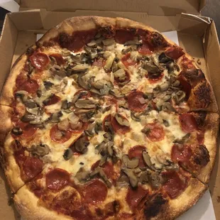 Large Plain Pizza with pepperoni, mushrooms, and onions