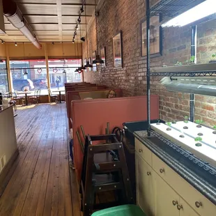 Frank&apos;s Place looking toward the front entrance. Note the fresh basil being grown inside the restaurant!