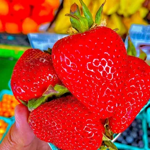 Fresh Spring Strawberry&apos;s from FRANKS @ PIKE PLACE MARKET