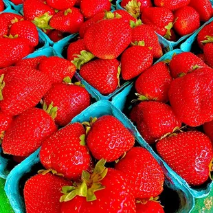 a tray of strawberries