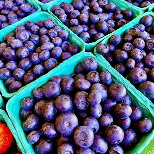 Fresh Blueberries @ Franks in The Pike Place Market