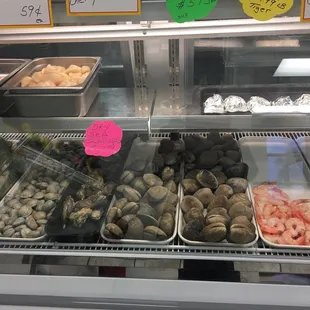 a variety of seafoods in a display case