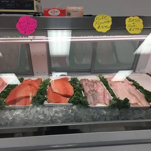 a display of fresh fish