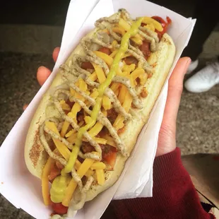 a hot dog with mustard and ketchup