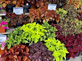 Sendik’s Food Market - Germantown