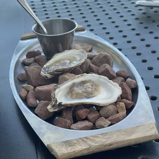 Oysters