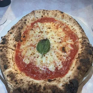 Margherita Pizza