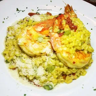 Seafood Risotto