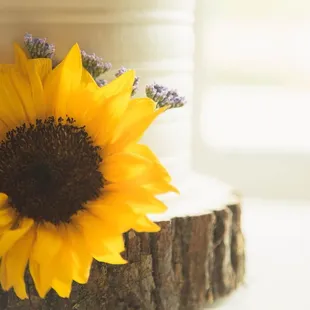 a sunflower on a piece of wood
