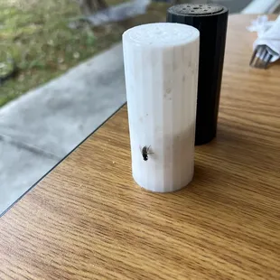 One of the flies checking out the filthy salt shaker
