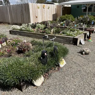 Outside when you walk into the garden area