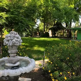 gardens lawn area