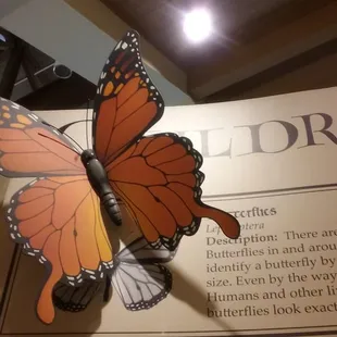 Adorable children's room!