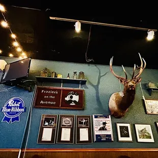 a deer head mounted on a wall