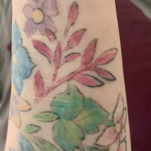 He didn't fill in where the red bud things are.