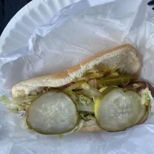 a hot dog with pickles