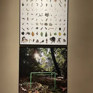 Excellent exhibits of the museum