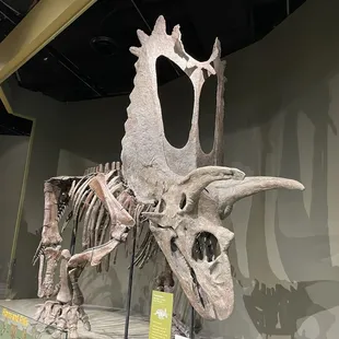 Excellent exhibits of the museum