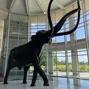 Excellent exhibits of the museum