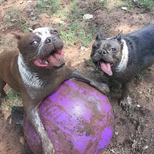 We love mud almost as much as we love our ball!