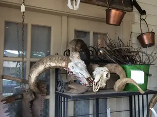 Cheshire Cat Antiques