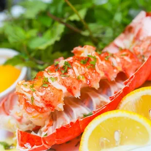 lobster