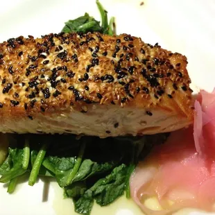 Norwegian Asian Salmon