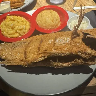 Red Snapper