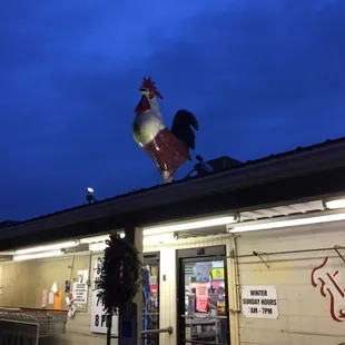 a rooster on the roof