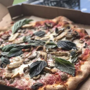 Large pizza with chicken and mushroom