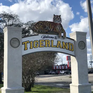 the entrance to tigerland