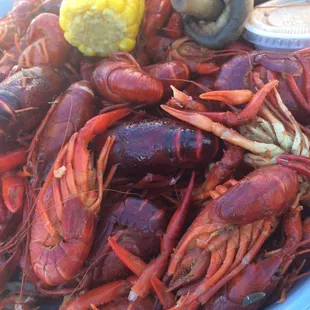 Crawfish!