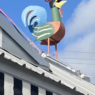 Top o&apos; the mornin&apos; to ya!