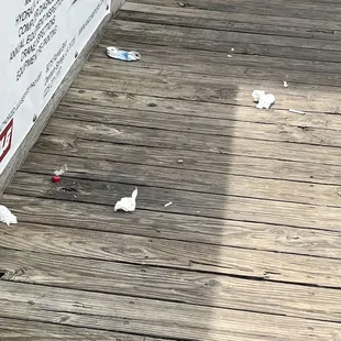 Trash along dock.