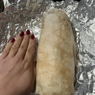 Carne Asada Burrito