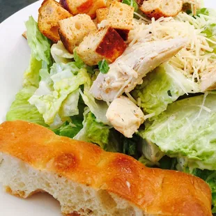 Chicken ceased salad