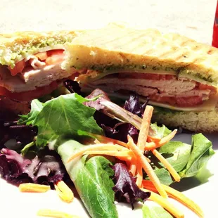 Turkey Avocado Panini