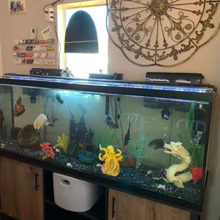 interior, sushi and sashimi