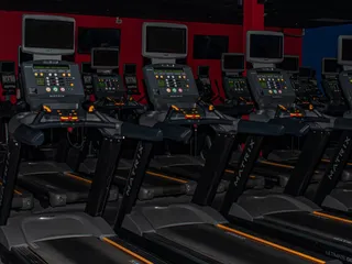 Freedom Fitness