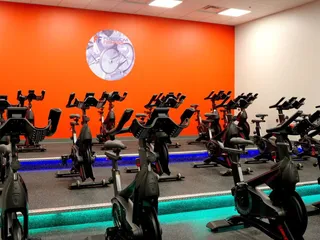 Freedom Fitness