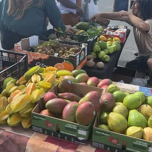 Stand Sunday farmers market
