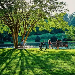 The ideal park