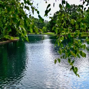 Serene pond