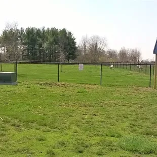 dog park