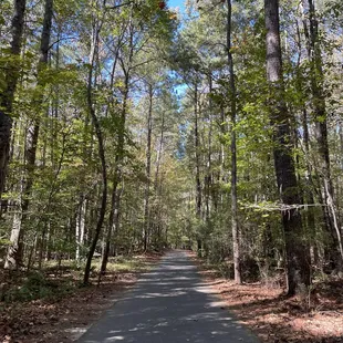 Trail # 3!!