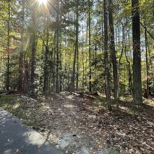 Bike trail cutting across trail #3