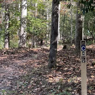 Bike trail crossing