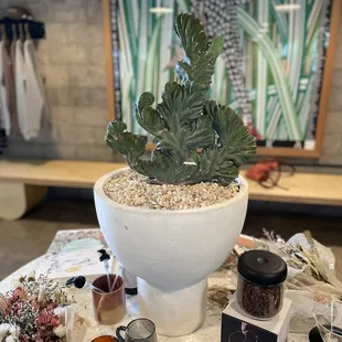 Items to purchase from local vendors