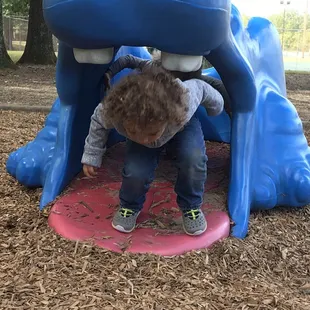 Play inside the hippo