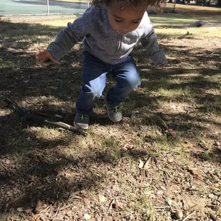 My toddler looking for acorns